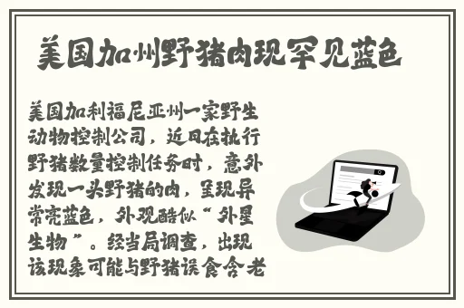 和最讨厌的部长去出差旅